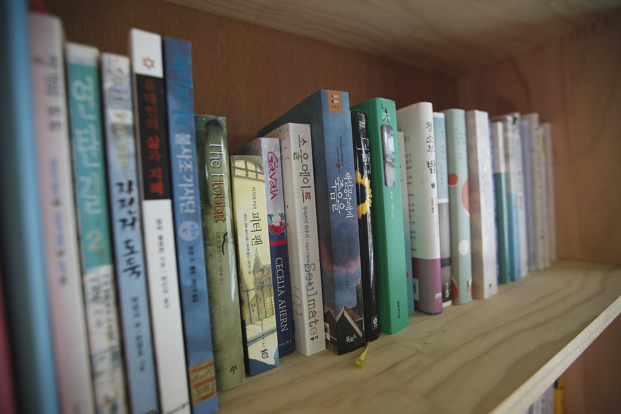 Bluefish Guesthouse Busan Bagian luar foto