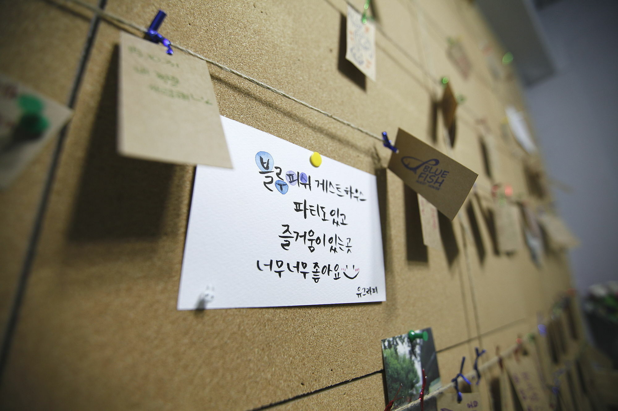 Bluefish Guesthouse Busan Bagian luar foto